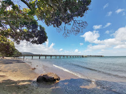 Cornwallis Beach'in fotoğrafı ve yerleşim