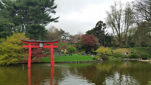 Art Museum «Brooklyn Museum», reviews and photos, 200 Eastern Pkwy, Brooklyn, NY 11238, USA