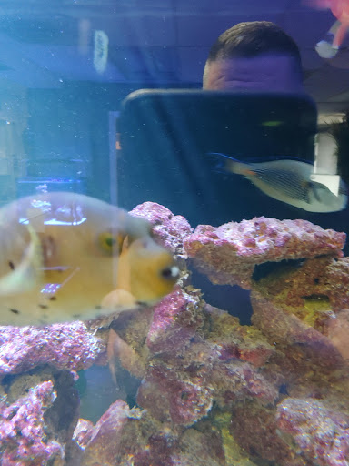 Tropical Fish Store «River City Aquatics», reviews and photos, 12108 Roxie Dr, Austin, TX 78729, USA