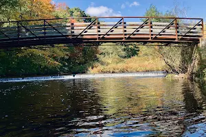 Esmond Park Conservation Area image