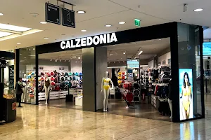 Calzedonia image