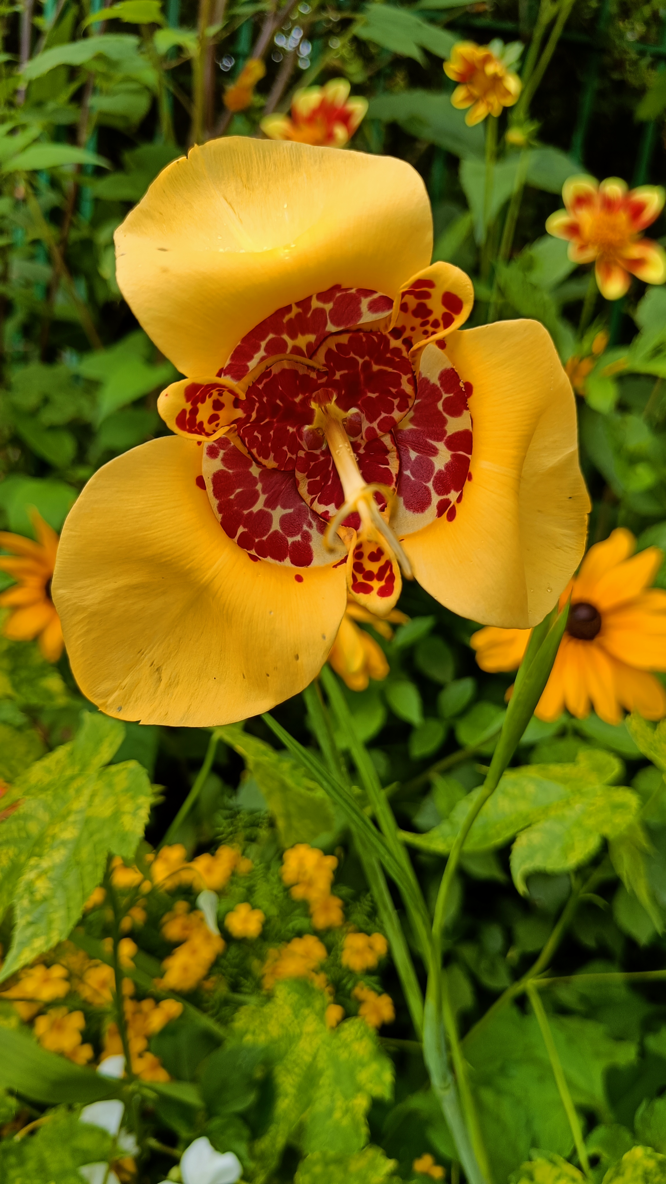 Photo n° 19 de l'avis de Eliot.o fait le 28/07/2023 à 16:35