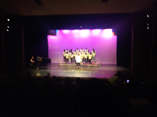 Performing Arts Theater «Florissant Civic Center Theatre», reviews and photos, 1 James J. Eagan Dr, Florissant, MO 63033, USA