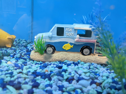 Pet Supply Store «PetSmart», reviews and photos, 28533 Marlboro Ave, Easton, MD 21601, USA