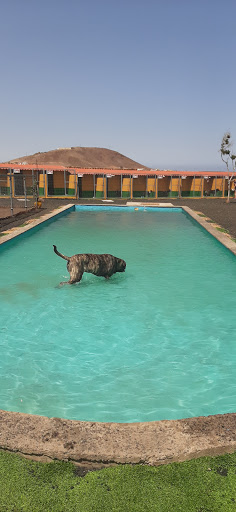 Hotel Canino Escubidú