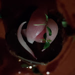 Photo n°2 de l'avis de daniele.a fait le 18/07/2022 à 21:29 sur le  AntoniMax - Chianti Soul Kitchen à Castelnuovo Berardenga