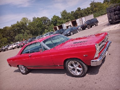 Farm Equipment Supplier «Maury Farmers Co-Op», reviews and photos, 423 Westover Dr, Columbia, TN 38401, USA