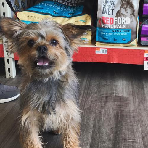 Pet Supply Store «Pet Supplies Plus», reviews and photos, 5394 Kemps River Dr Suite 101, Virginia Beach, VA 23464, USA