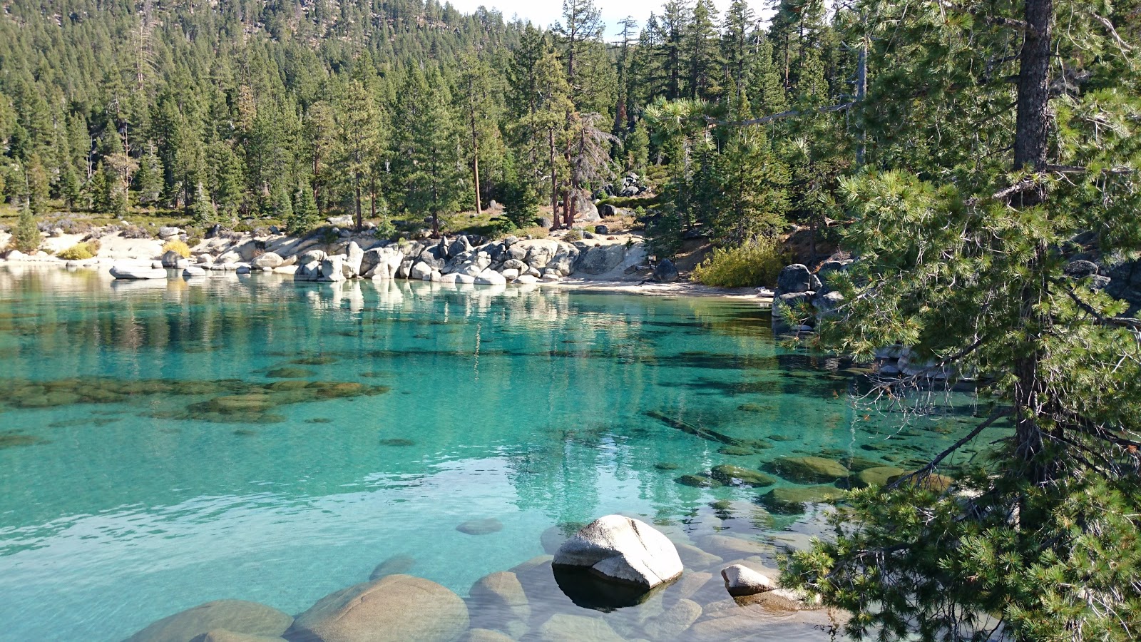 Whale Beach'in fotoğrafı - rahatlamayı sevenler arasında popüler bir yer