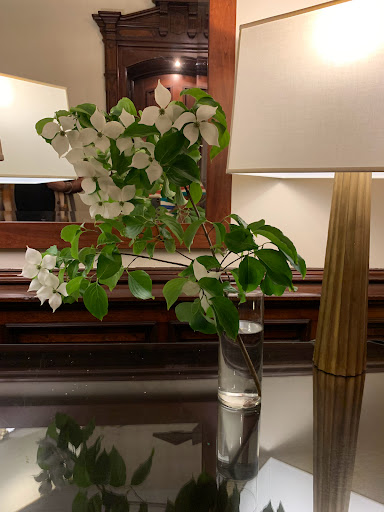 Luxury Hotel «The Mansion on Delaware Avenue», reviews and photos, 414 Delaware Ave, Buffalo, NY 14202, USA