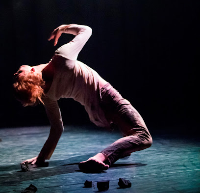 Kamea Dance Company dance company at Be'er Sheva