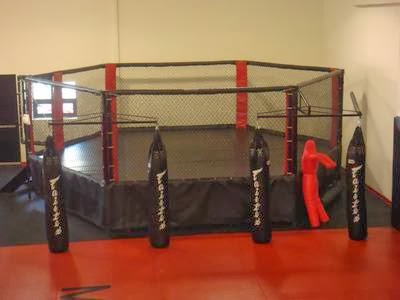 Jujitsu School «Mash Gym», reviews and photos, 26575 W 8 Mile Rd, Redford Charter Twp, MI 48240, USA