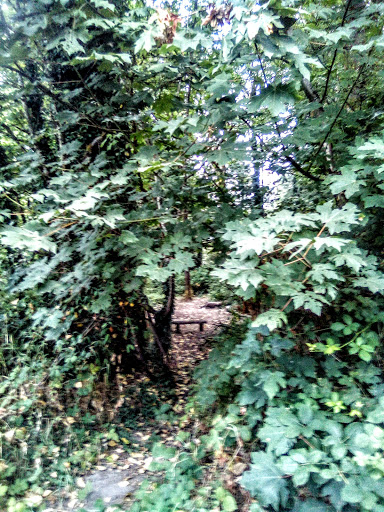 Golf Course «Riverside Disc Golf Course», reviews and photos, 7926 Riverside Rd E, Sumner, WA 98390, USA