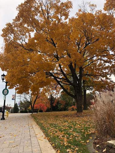 Museum «Elmhurst History Museum», reviews and photos, 120 E Park Ave, Elmhurst, IL 60126, USA