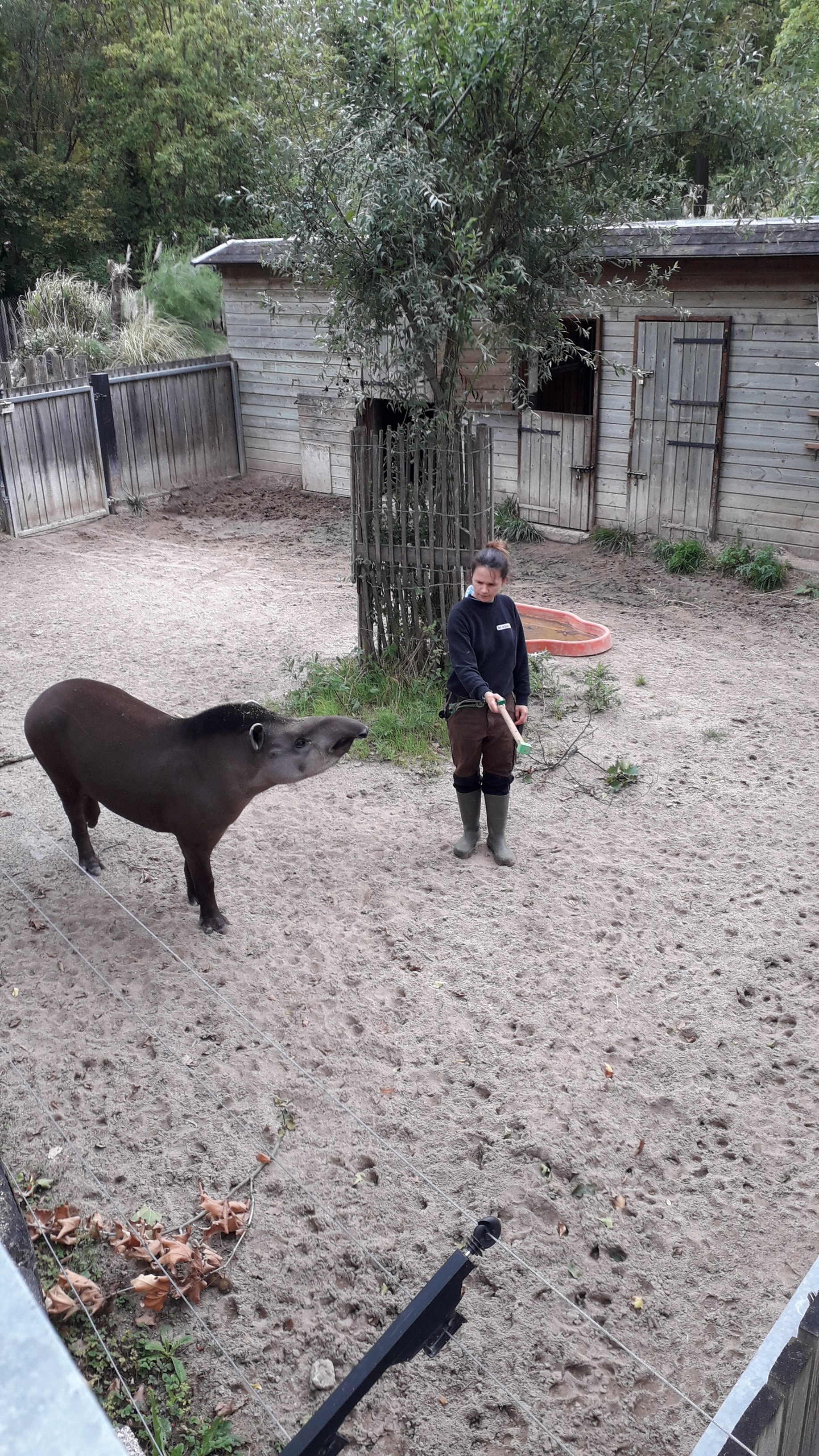 Photo n° 7 de l'avis de Catherine.C fait le 27/08/2020 à 11:42