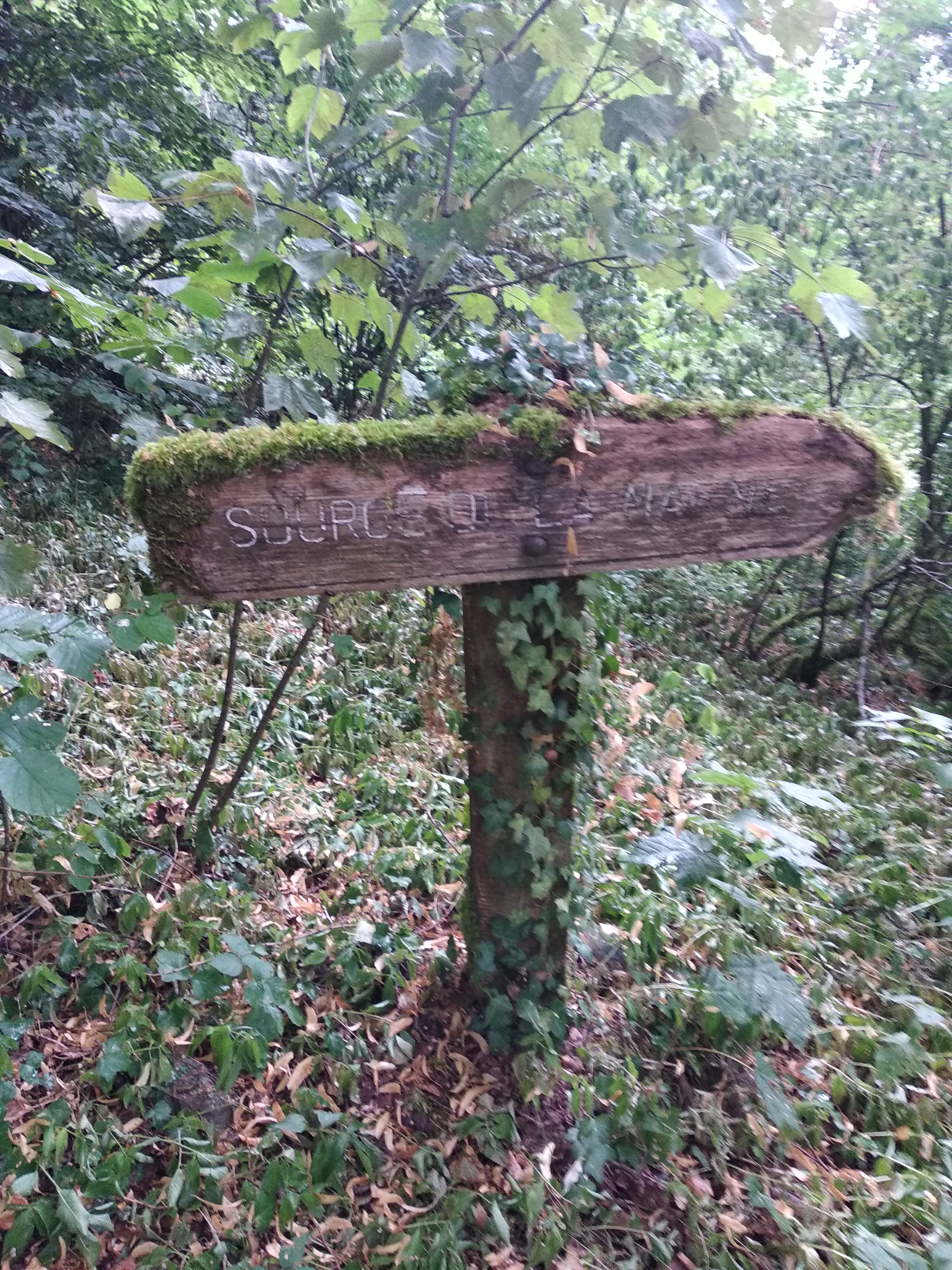 Photo n° 2 de l'avis de Sandrine.e fait le 11/08/2019 à 07:34