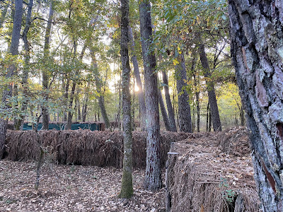 Terres de Cassayre à Sauméjan