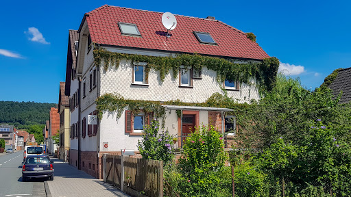 Dana Vogel Tierärztin unter Breuberg, 