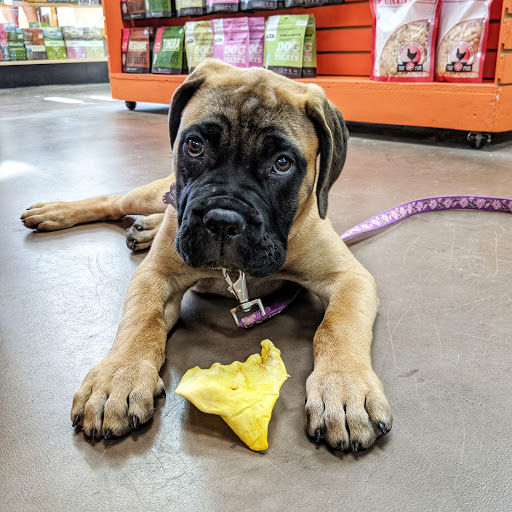 Pet Supply Store «Unleashed», reviews and photos, 1319 Military Cutoff Rd, Wilmington, NC 28405, USA