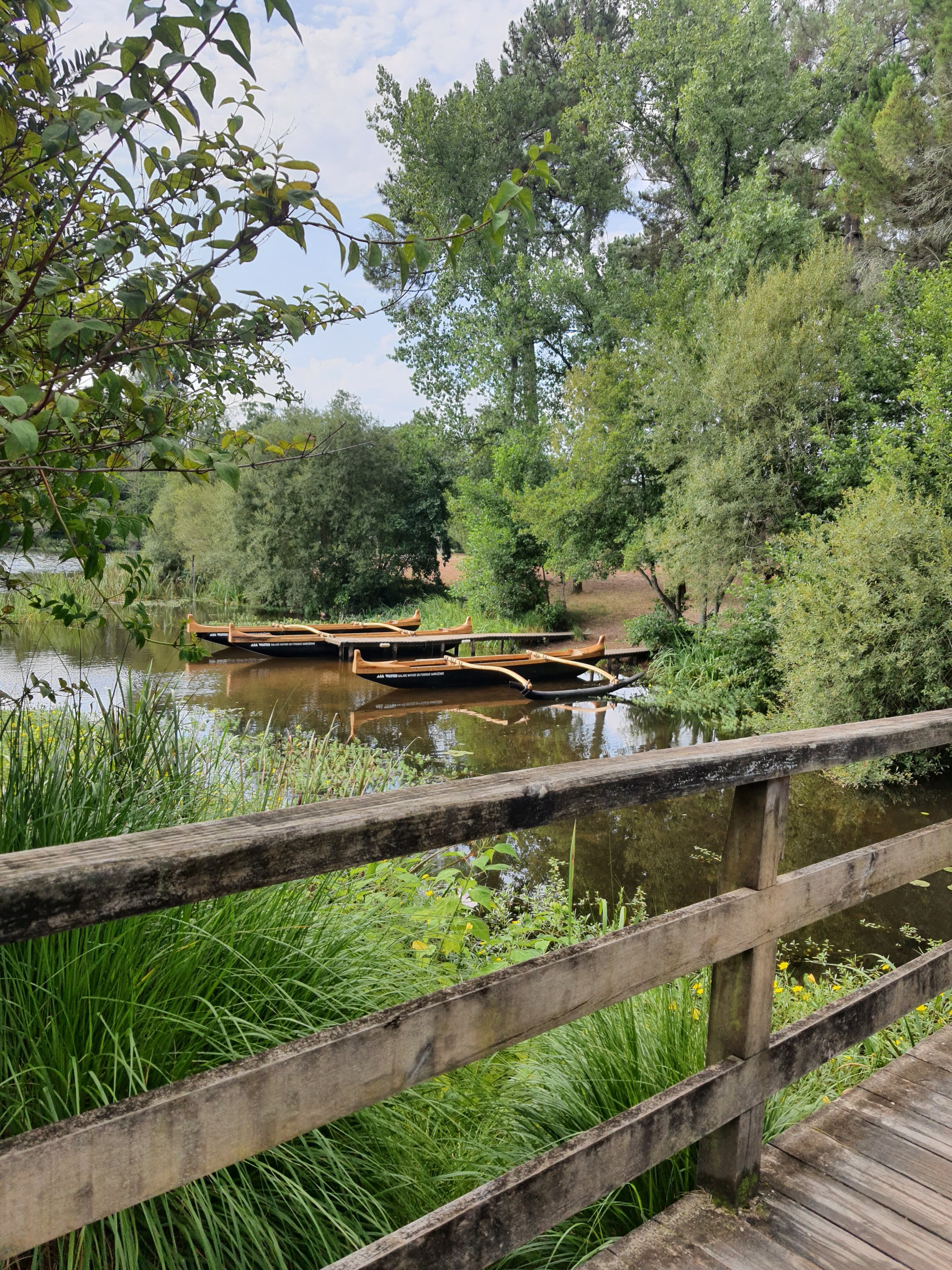 Photo n° 5 de l'avis de Murielle.E fait le 10/08/2022 à 13:44