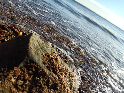 Park «Lemon Creek Park», reviews and photos, Hylan Blvd, Staten Island, NY 10309, USA