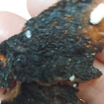 Photo n°2 de l'avis de jfilho.i fait le 17/12/2021 à 23:31 sur le  Pizzaria Madalena à Viseu