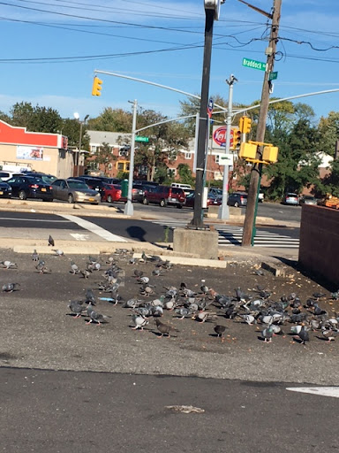 Drug Store «CVS», reviews and photos, 219-39 89th Ave, Queens Village, NY 11427, USA