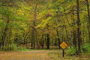 Wild River State Park image