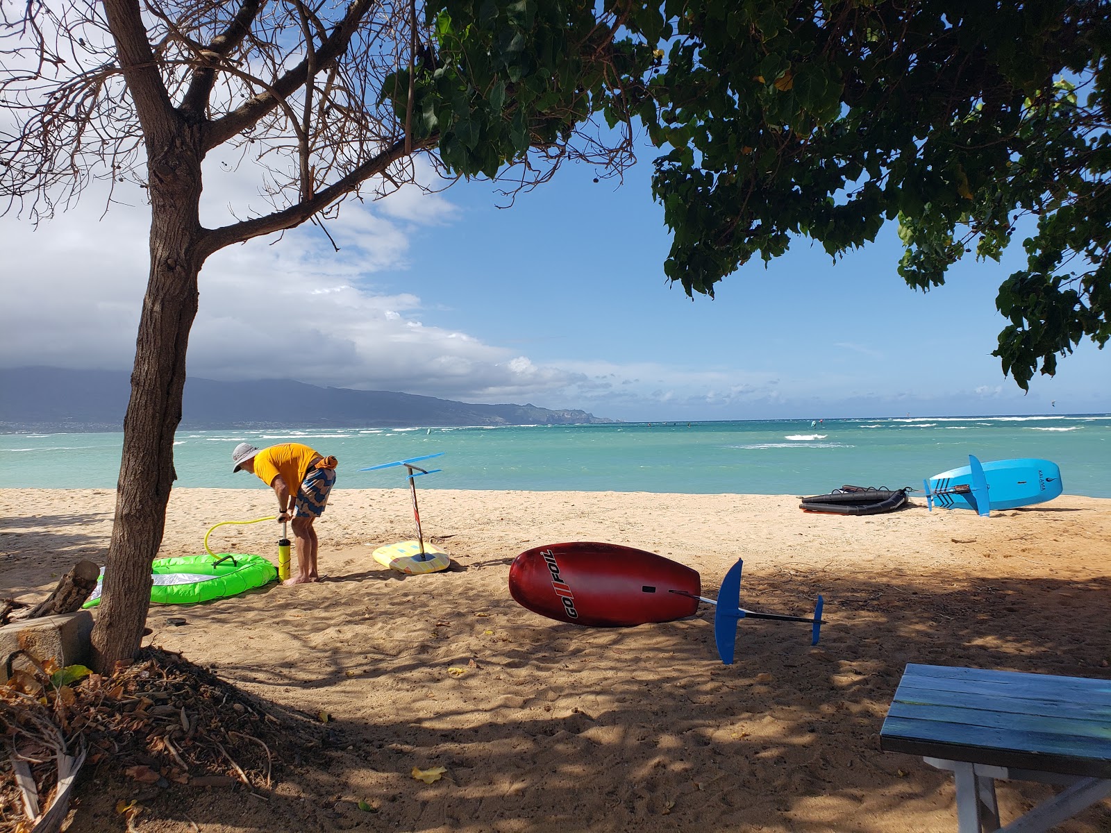Foto van Kite Beach Maui wilde omgeving