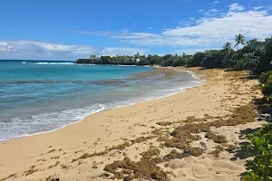 Shoys Beach image