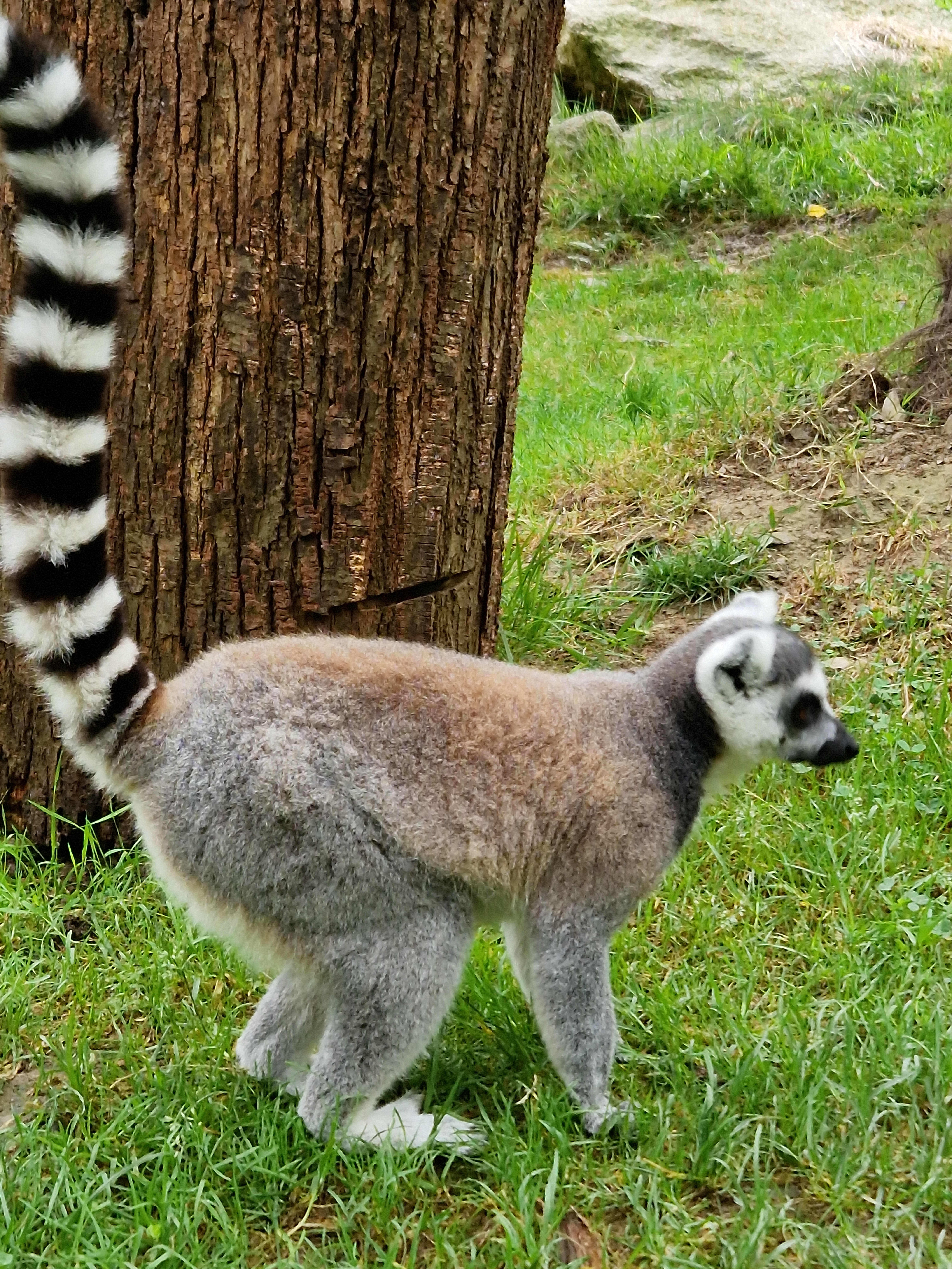Photo n° 4 de l'avis de Alexandre.a fait le 31/08/2023 à 05:45