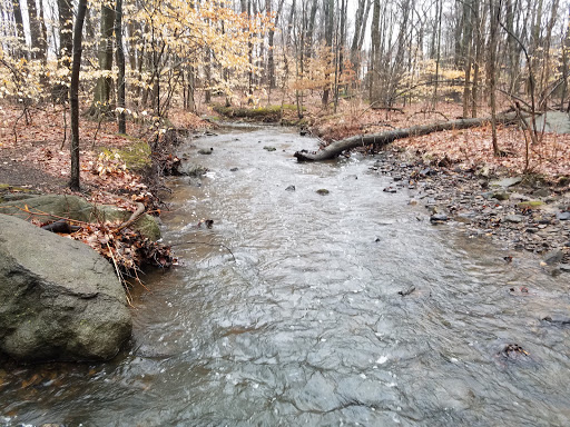 Nature Preserve «Flat Rock Brook Nature Center», reviews and photos, 443 Van Nostrand Ave, Englewood, NJ 07631, USA