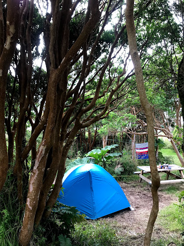 Costa Pacifico Ecocamping - Camping