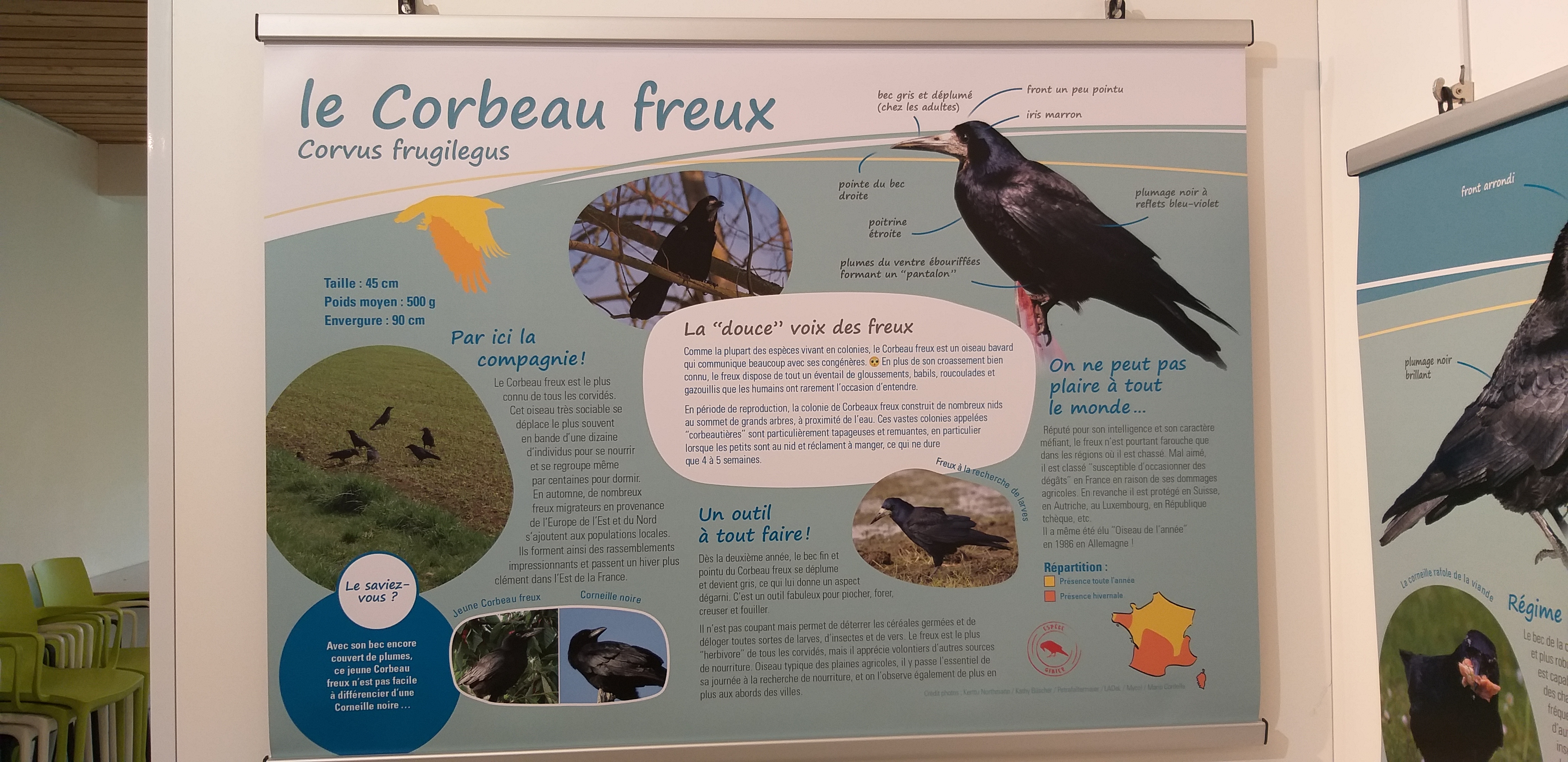Photo n° 3 de l'avis de Ruediger.e fait le 22/04/2019 à 16:26