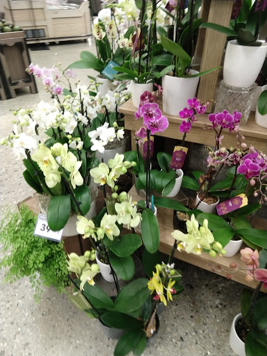 Grocery Store «Ralphs», reviews and photos, 18010 Chatsworth St, Granada Hills, CA 91344, USA