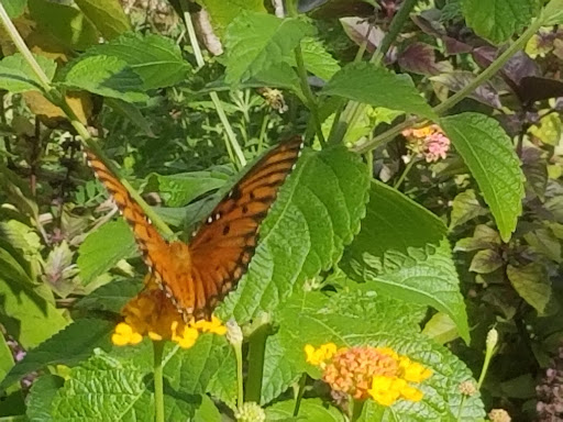 Museum «North Carolina Maritime Museum at Southport», reviews and photos, 204 E Moore St, Southport, NC 28461, USA