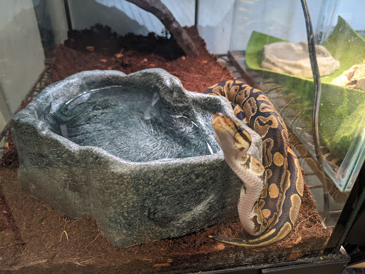 Pet Supply Store «PetSmart», reviews and photos, 13241 Gateway Center Dr, Gainesville, VA 20155, USA