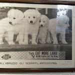 Photo n°2 de l'avis de roberto.P fait le 08/07/2023 à 12:53 sur le  Pane Amaro à Calascio