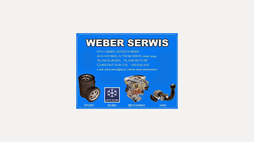 Weber serwis