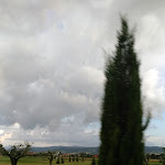 Photo n°9 de l'avis de Pietro.s fait le 09/06/2018 à 04:46 sur le  Recanto Restaurant - Ristorante Recanto (Assisi) à Santa Maria degli Angeli