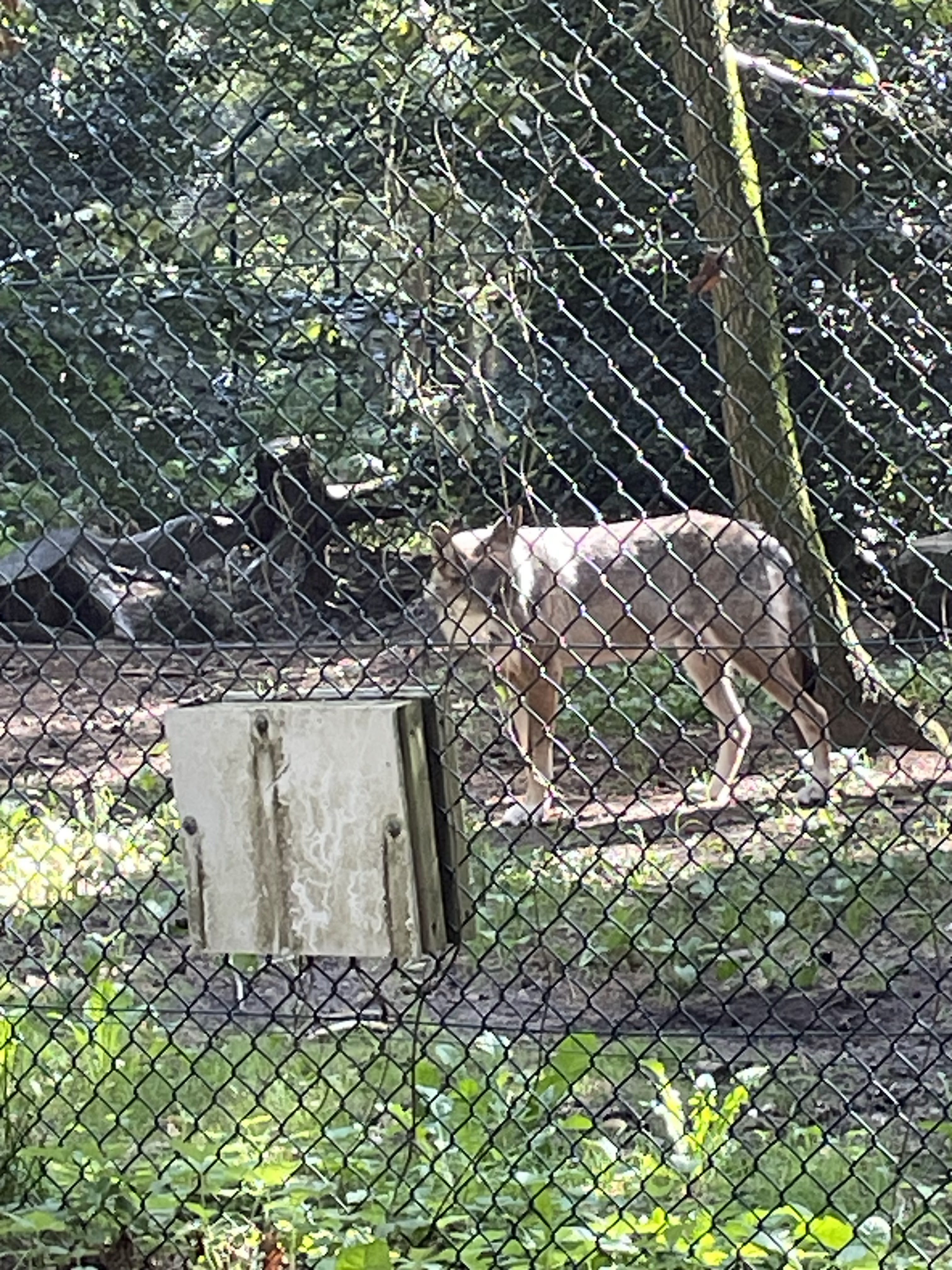 Photo n° 41 de l'avis de catherine.h fait le 22/08/2023 à 10:19