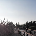 Photo n°4 de l'avis de Ina.u fait le 27/10/2018 à 18:44 sur le  Dunadonda à Marina di Vecchiano, Vecchiano