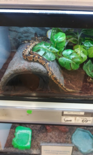 Pet Supply Store «Petco Animal Supplies», reviews and photos, 11147 Park Blvd N, Seminole, FL 33772, USA