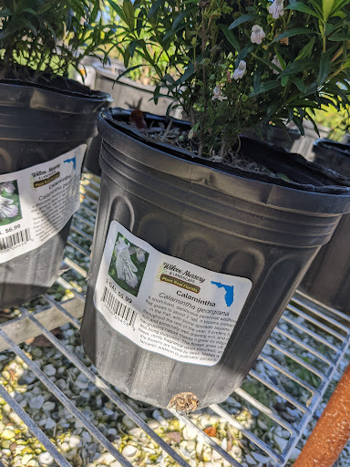 Plant Nursery «Wilcox Nursery», reviews and photos, 12501 Indian Rocks Rd, Largo, FL 33774, USA