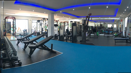 THE UNIT FIT - Gimnasio Personalizado en Marbella en Estepona, Málaga
