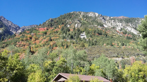 Supermarket «Walmart Neighborhood Market», reviews and photos, 3555 S 8400 W, Magna, UT 84044, USA