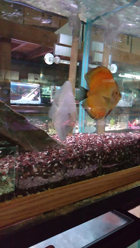 Pet Store «Aqualand Aquarium Center», reviews and photos, 5355 Chicago Ave, Minneapolis, MN 55417, USA