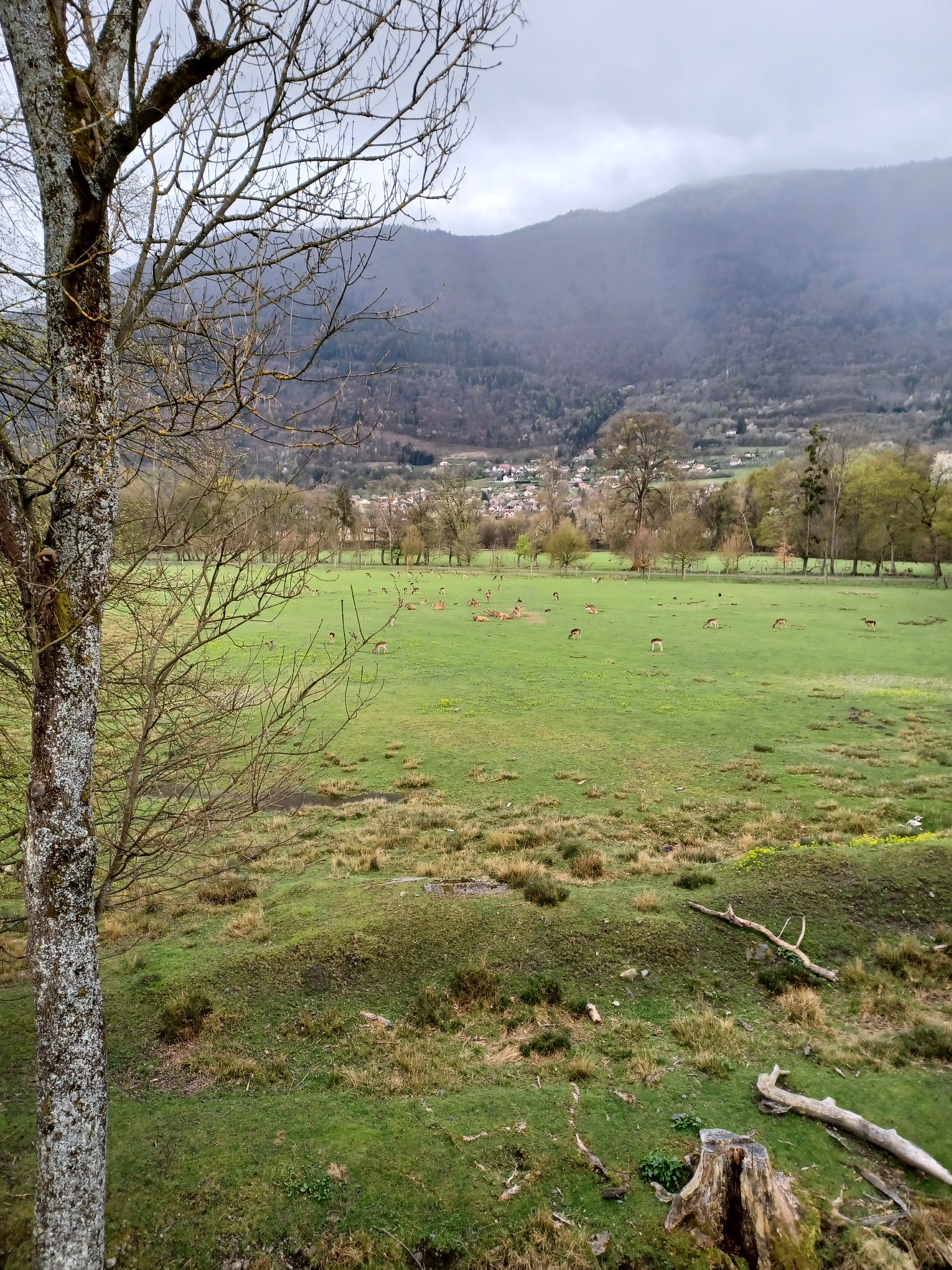 Photo n° 11 de l'avis de Caroline.a fait le 10/04/2022 à 19:21