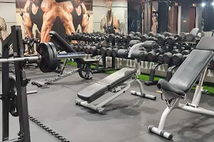 Lion gym image