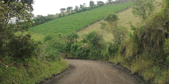 Camino de los Incas - Quito